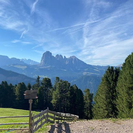 Apartment Nido Selva di Val Gardena Zewnętrze zdjęcie