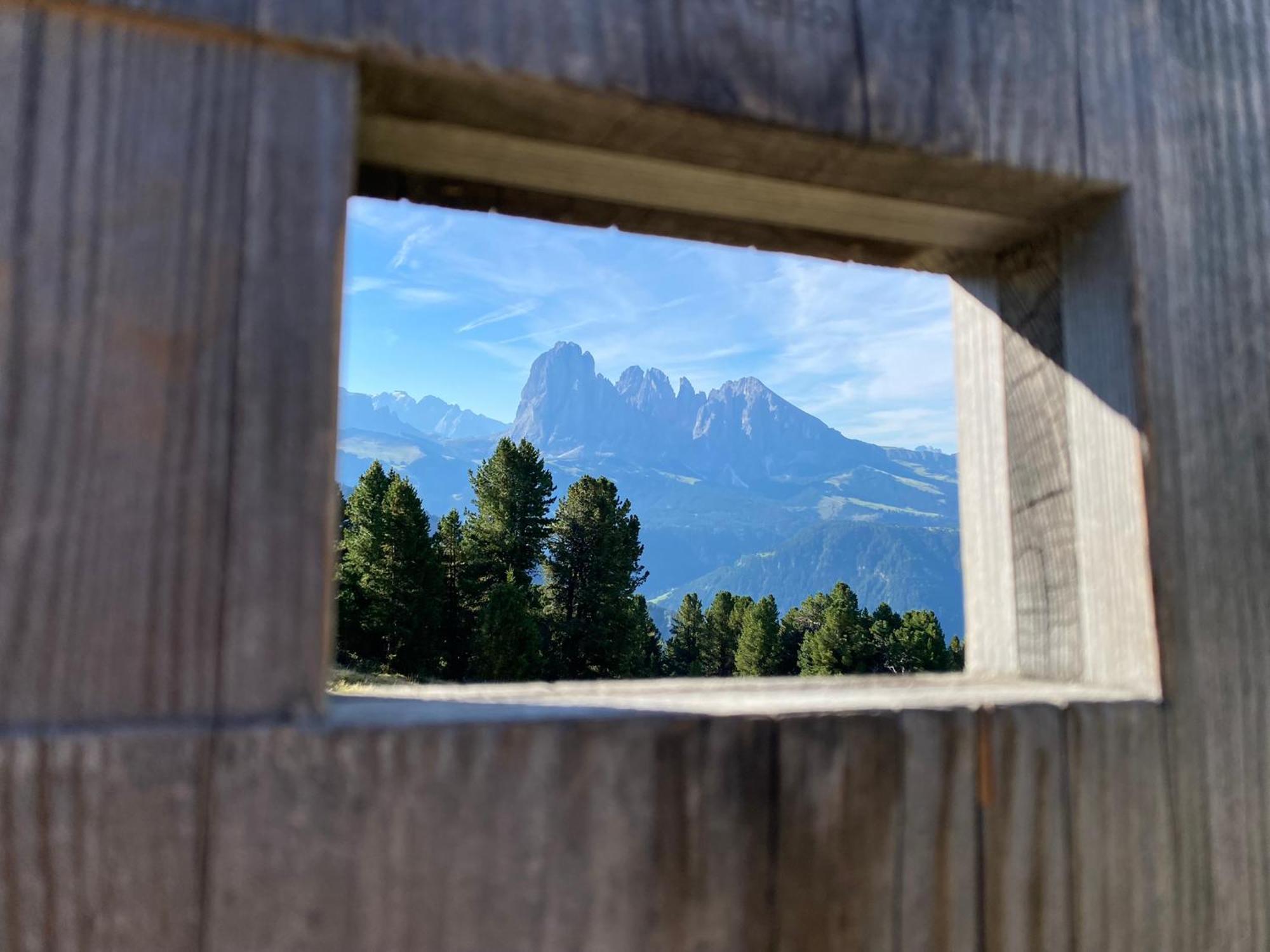 Apartment Nido Selva di Val Gardena Zewnętrze zdjęcie