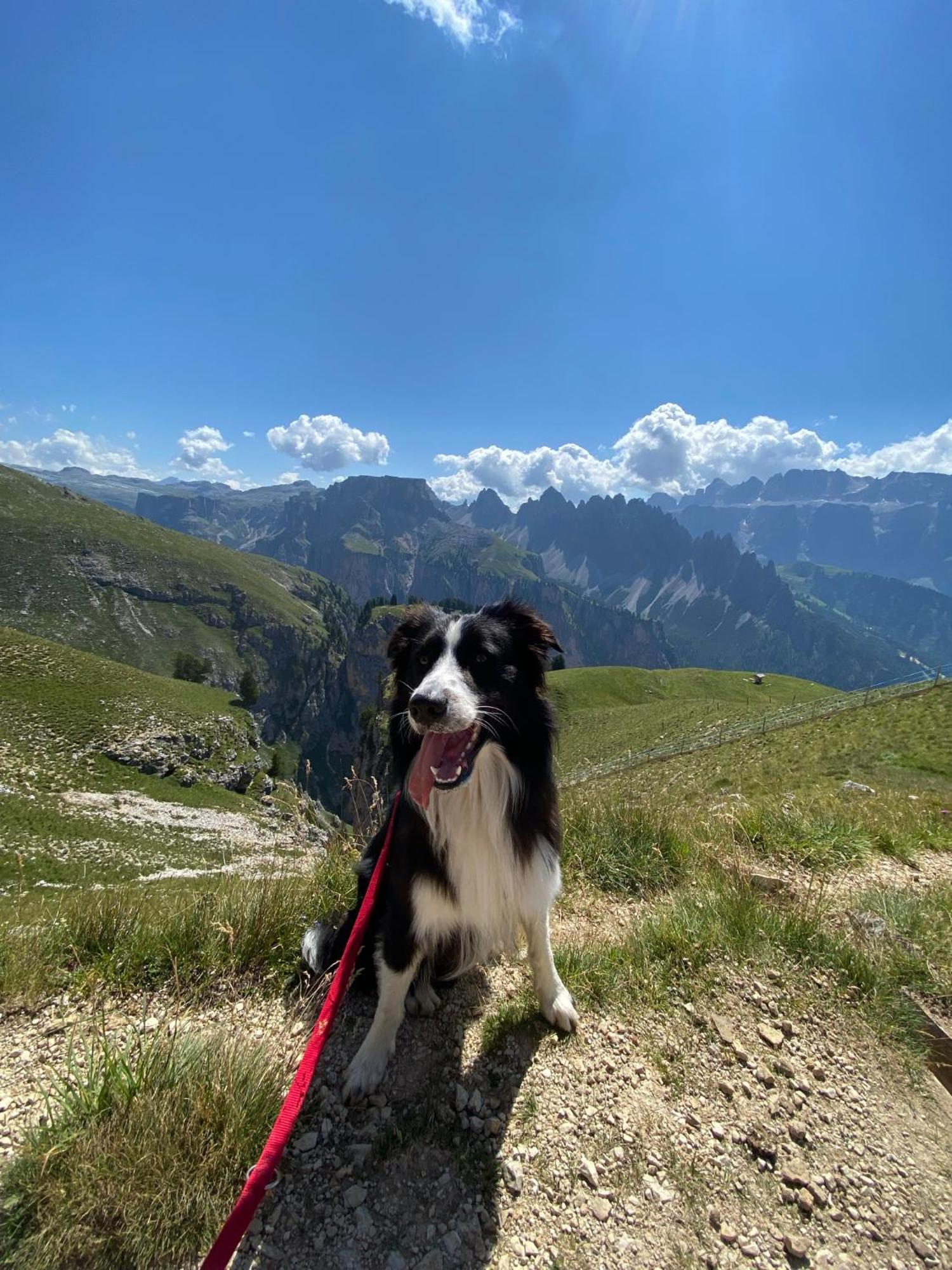 Apartment Nido Selva di Val Gardena Zewnętrze zdjęcie