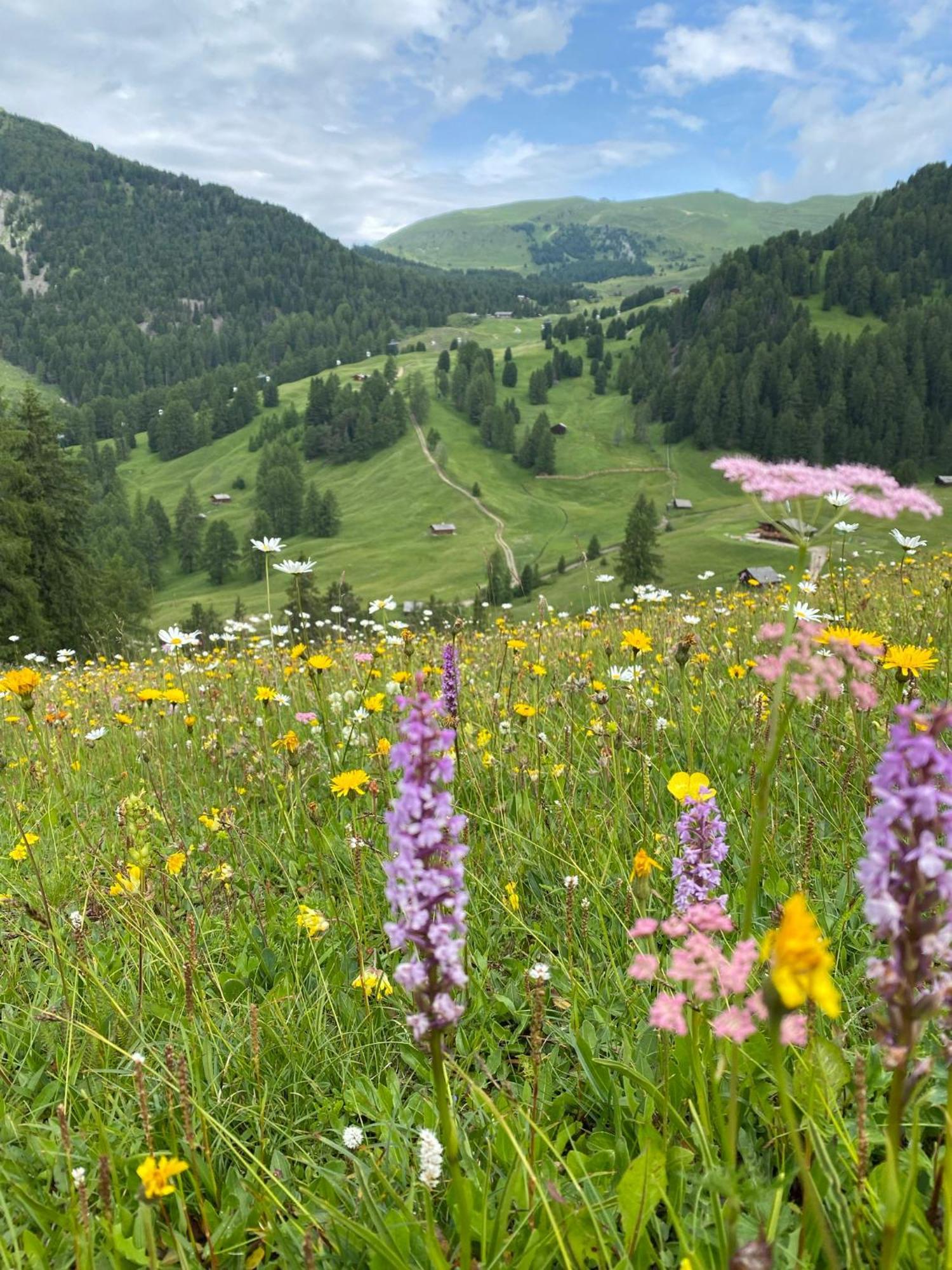 Apartment Nido Selva di Val Gardena Zewnętrze zdjęcie